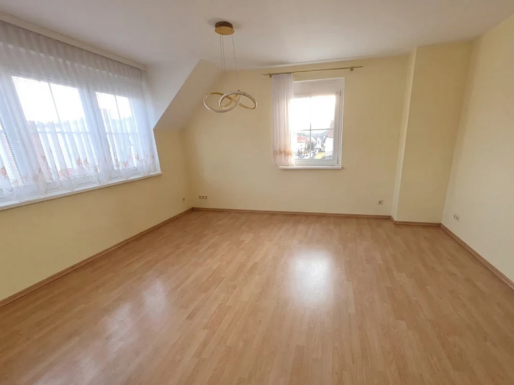 Besenreiner Zustand nach der Räumung in Felixdorf