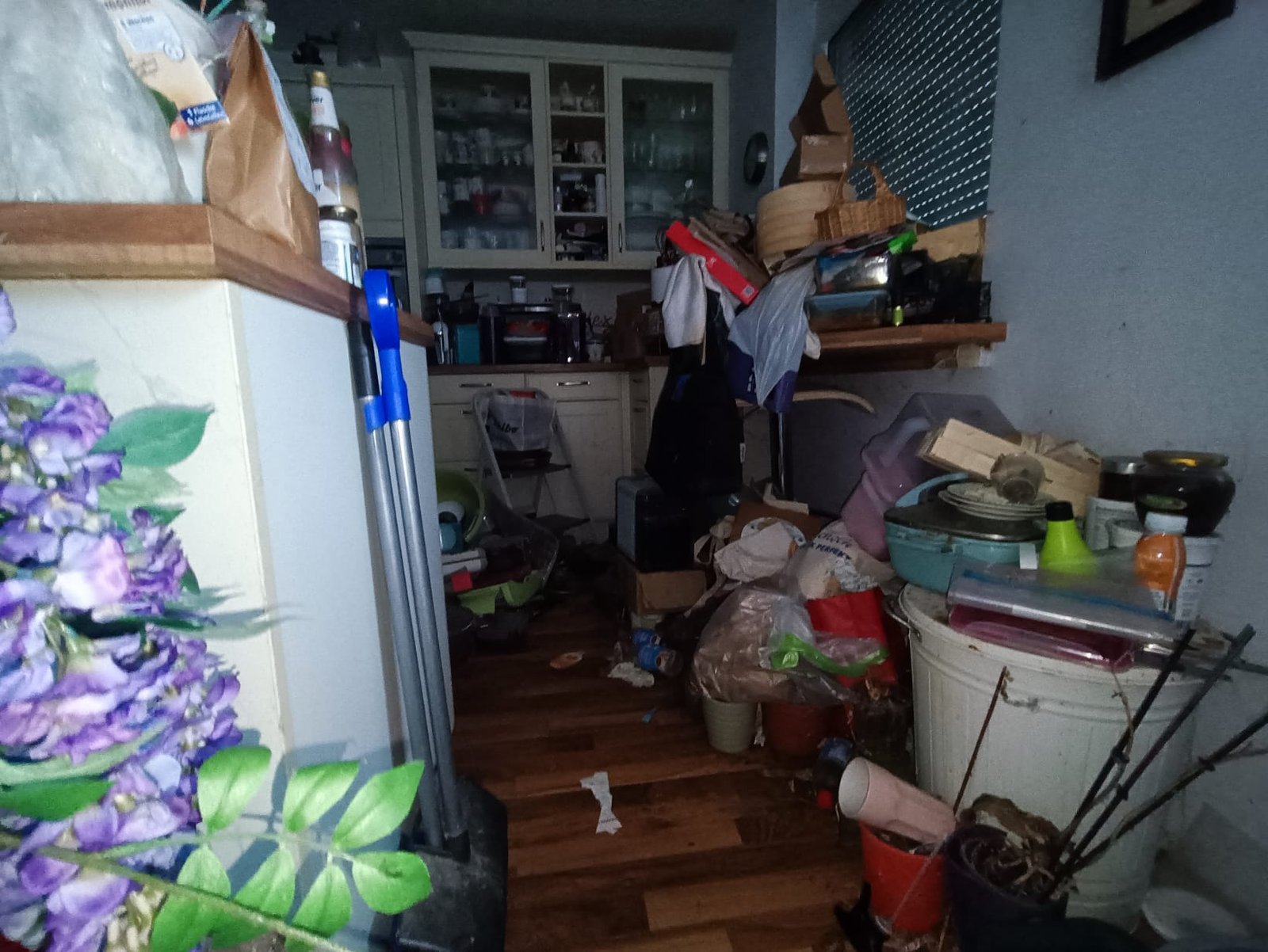 Messie Wohnung räumen Niederösterreich