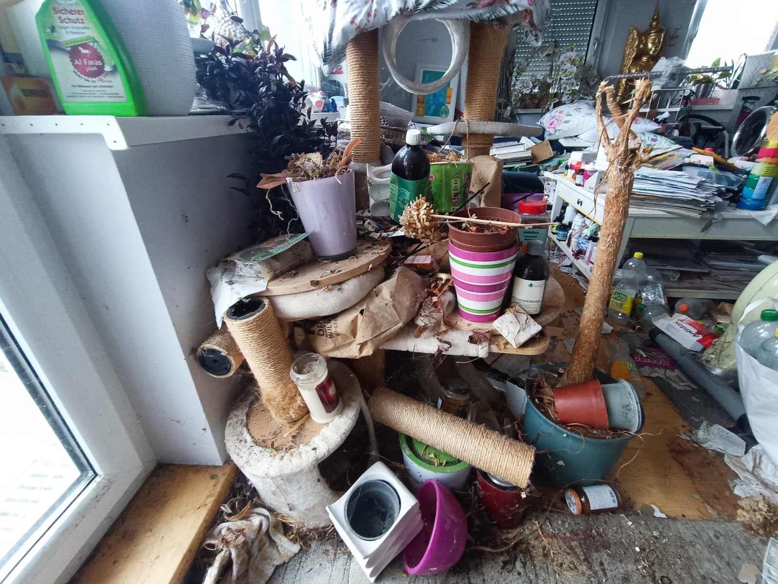 Messie Wohnung räumen Krems an der Donau